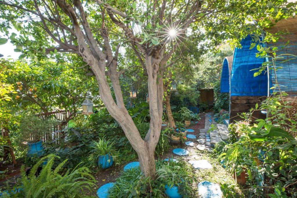 Havaya Ba Nof Lodge Рош-Пинна Экстерьер фото